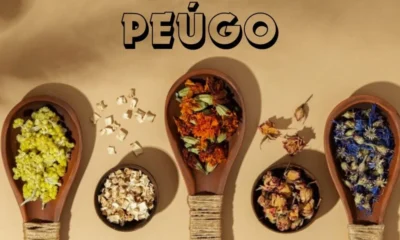 Peúgo: Everything You Need to Know