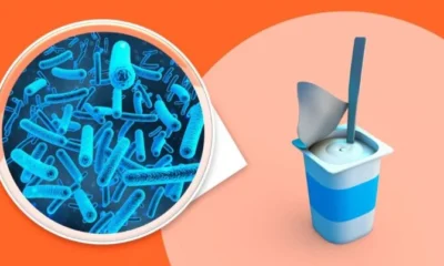 Lactobacillus Bacteria: Benefits, Uses, and FAQs
