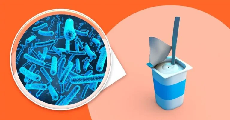 Lactobacillus Bacteria: Benefits, Uses, and FAQs