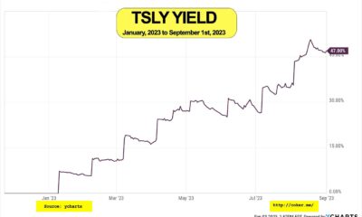 Understanding TSLY Dividend: A Comprehensive Overview