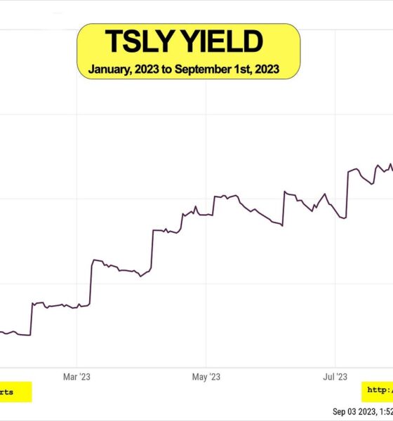 Understanding TSLY Dividend: A Comprehensive Overview