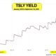 Understanding TSLY Dividend: A Comprehensive Overview