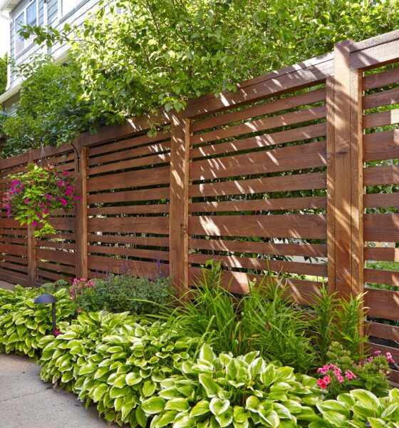 Privacy Fencing Options for Every Yard