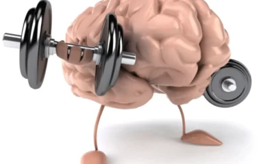 Philosophy and Training Approach: Train Your Body vs. Train Your Mind