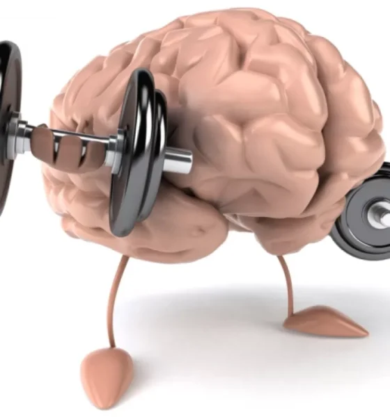 Philosophy and Training Approach: Train Your Body vs. Train Your Mind