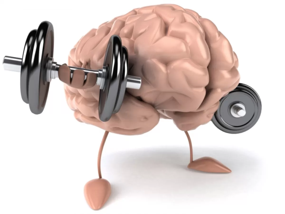 Philosophy and Training Approach: Train Your Body vs. Train Your Mind