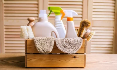Eco-Friendly Cleaning Solutions for Homes and Businesses