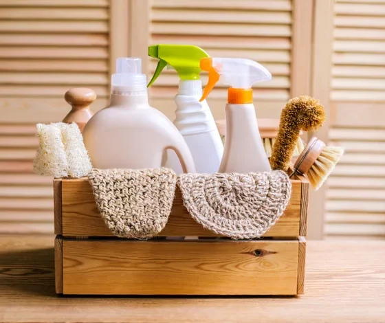 Eco-Friendly Cleaning Solutions for Homes and Businesses