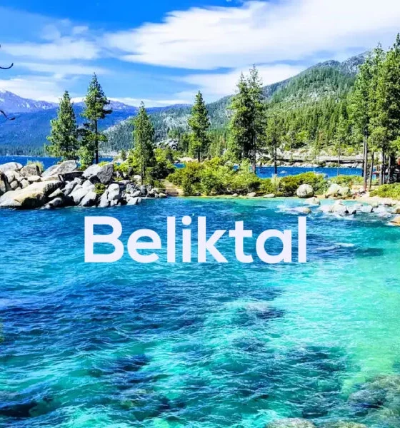 Beliktal: A Comprehensive Guide to Understanding Its Meaning, Uses, and Significance