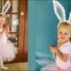 Bunny Costume: A Timeless Symbol of Fun, Fantasy, and Fashion