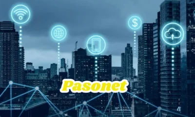 Pasonet: A Comprehensive Guide to the Emerging Digital Ecosystem